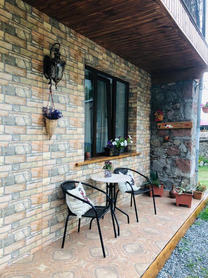 Ia'S Guest House Kazbegi Kültér fotó