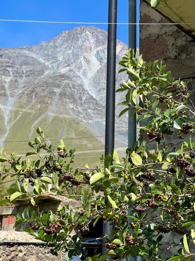 Ia'S Guest House Kazbegi Kültér fotó
