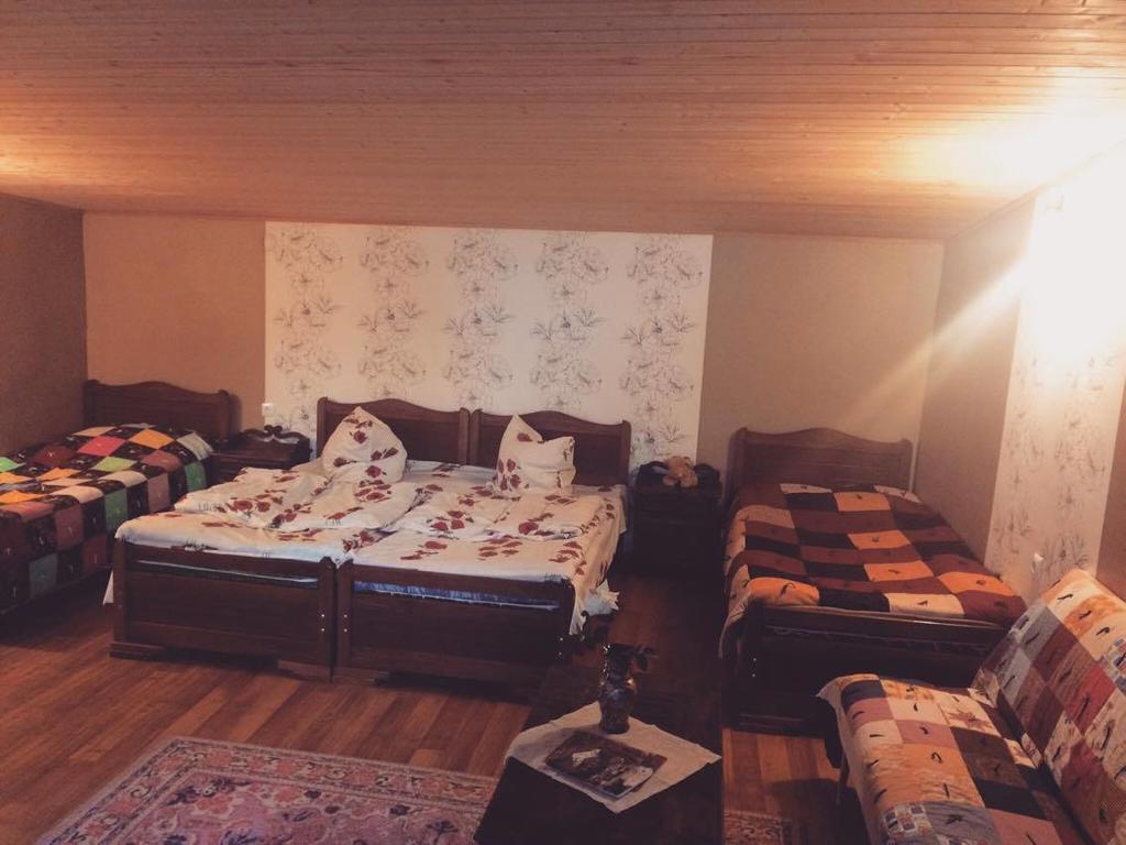 Ia'S Guest House Kazbegi Kültér fotó